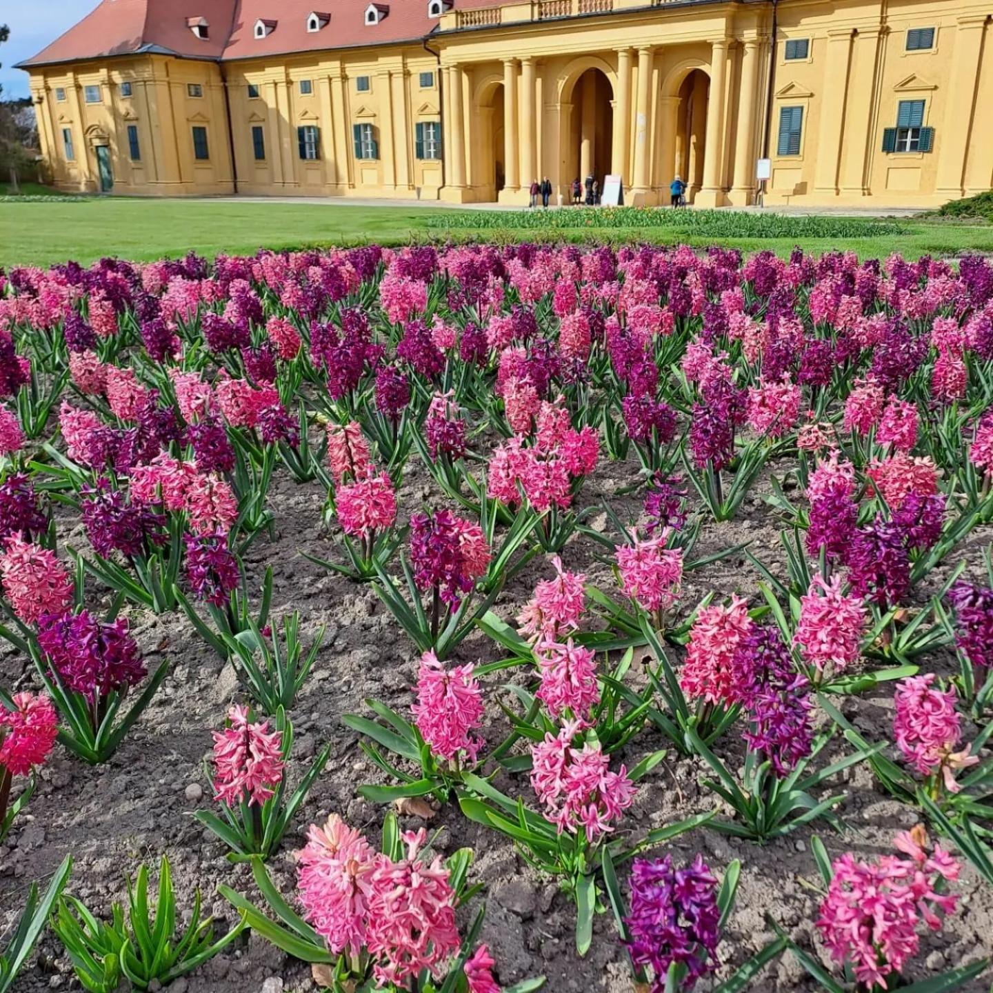 Domek Na Vinohradech Hlohovec Exterior foto