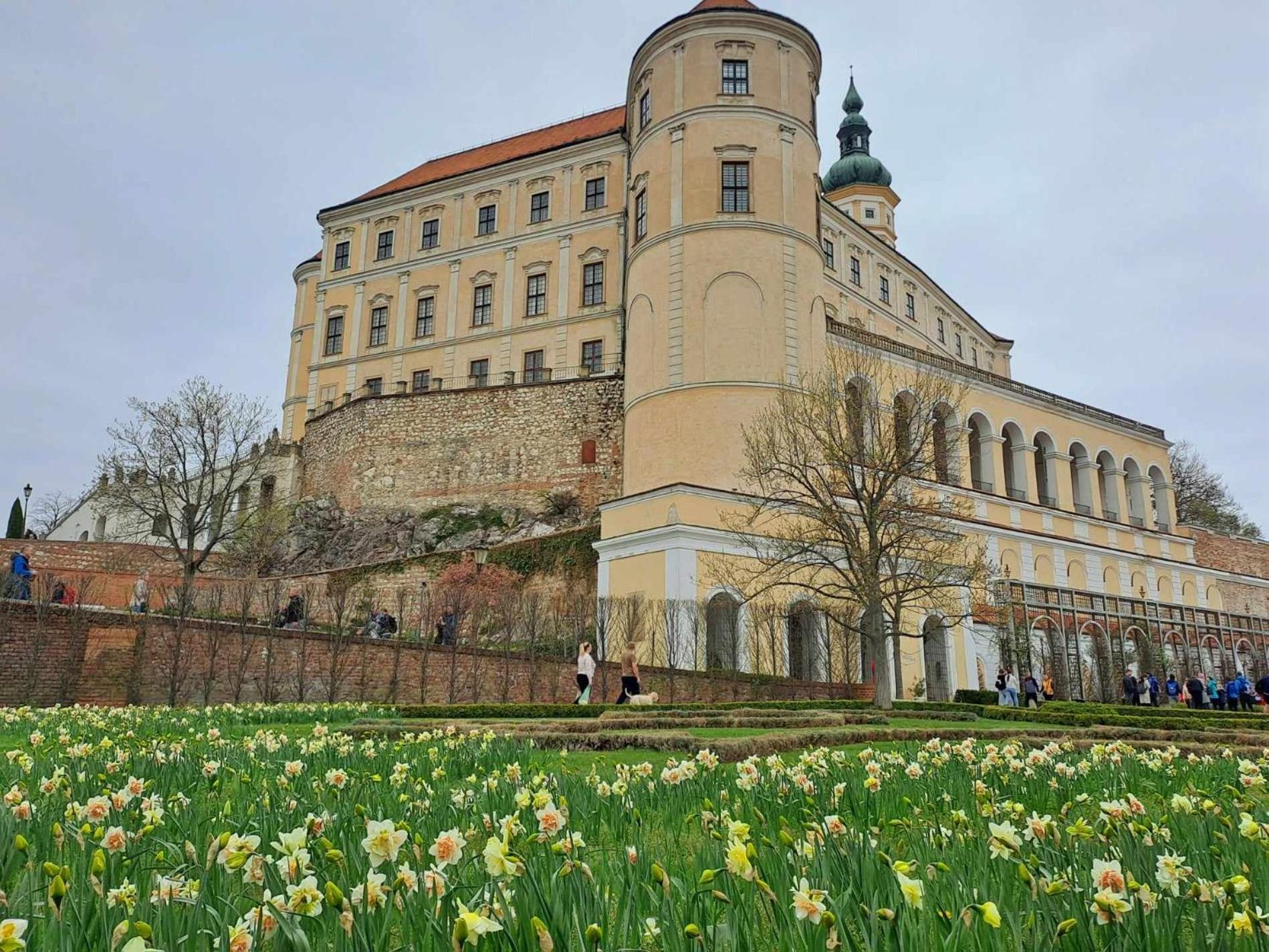 Domek Na Vinohradech Hlohovec Exterior foto